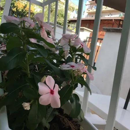 Tatil Evi Casa Maria *